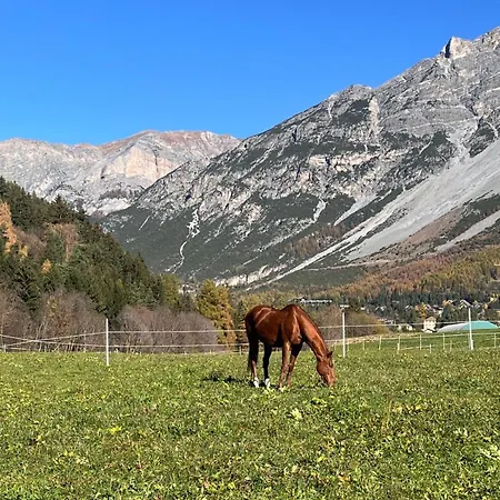 아파트 Moderna Bike Friendly, Parking, Vicino Terme Bormio *
